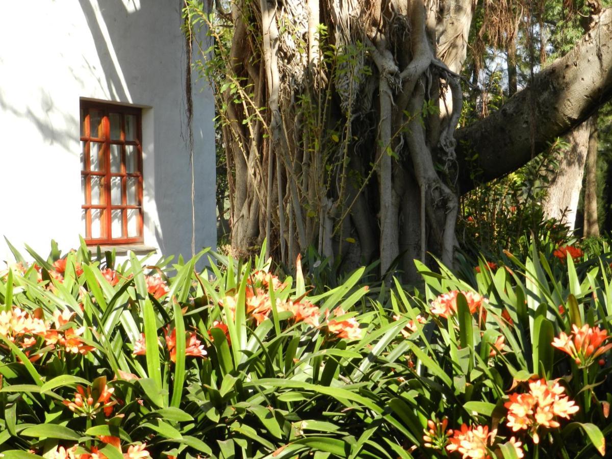 President Paul Kruger Guest Lodge Rustenburg Extérieur photo